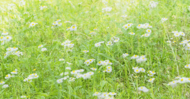 人への敬意を取り戻せ