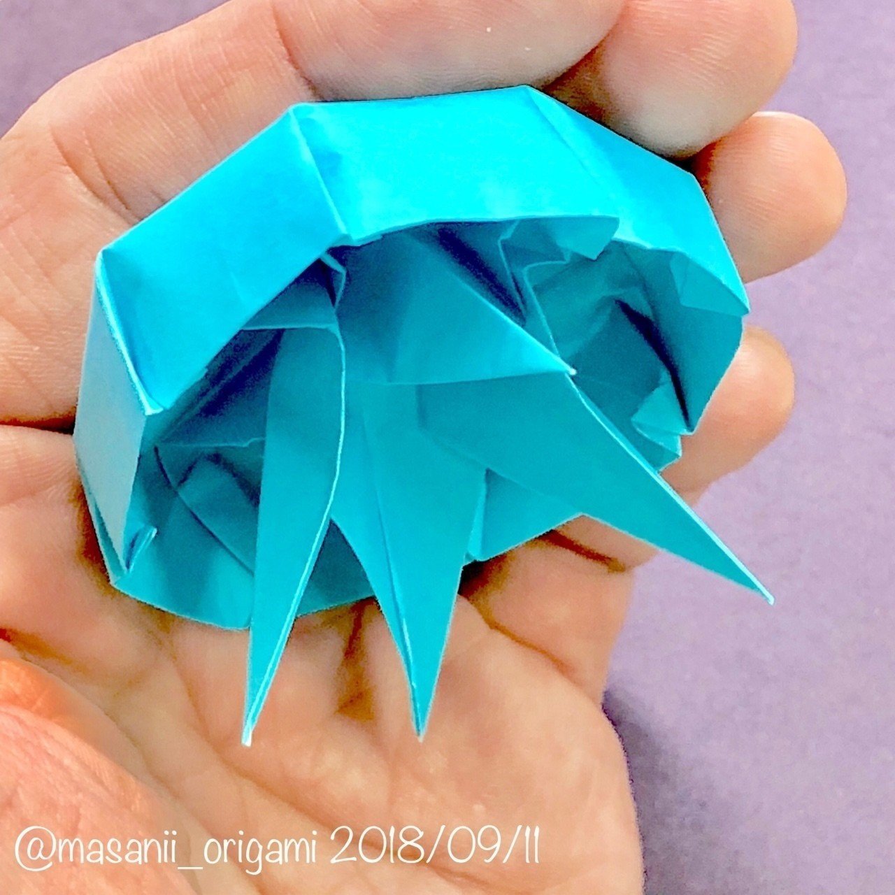 折り紙のクラゲと 生物部の思い出 まさにぃ Note