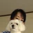 めるる