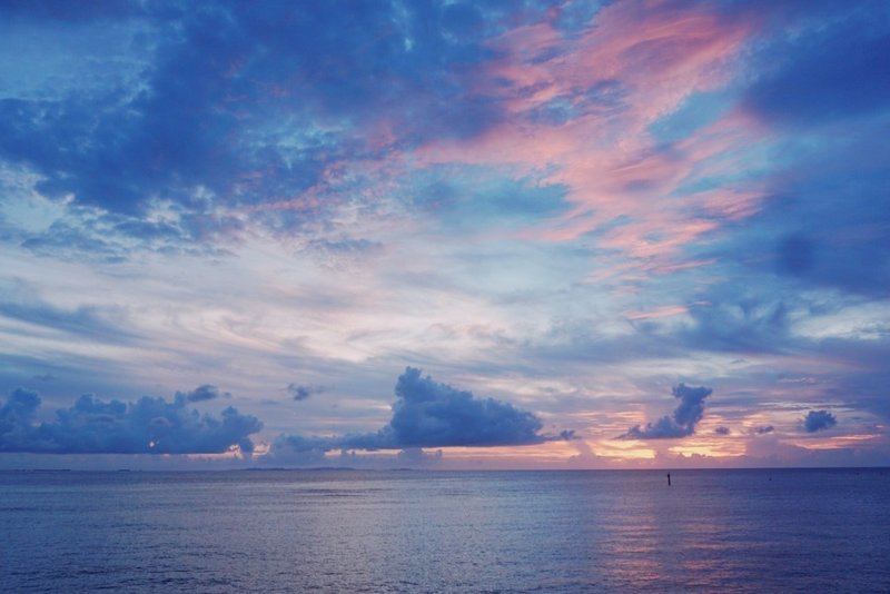 人生は なんか好き が大事 古性のち Note