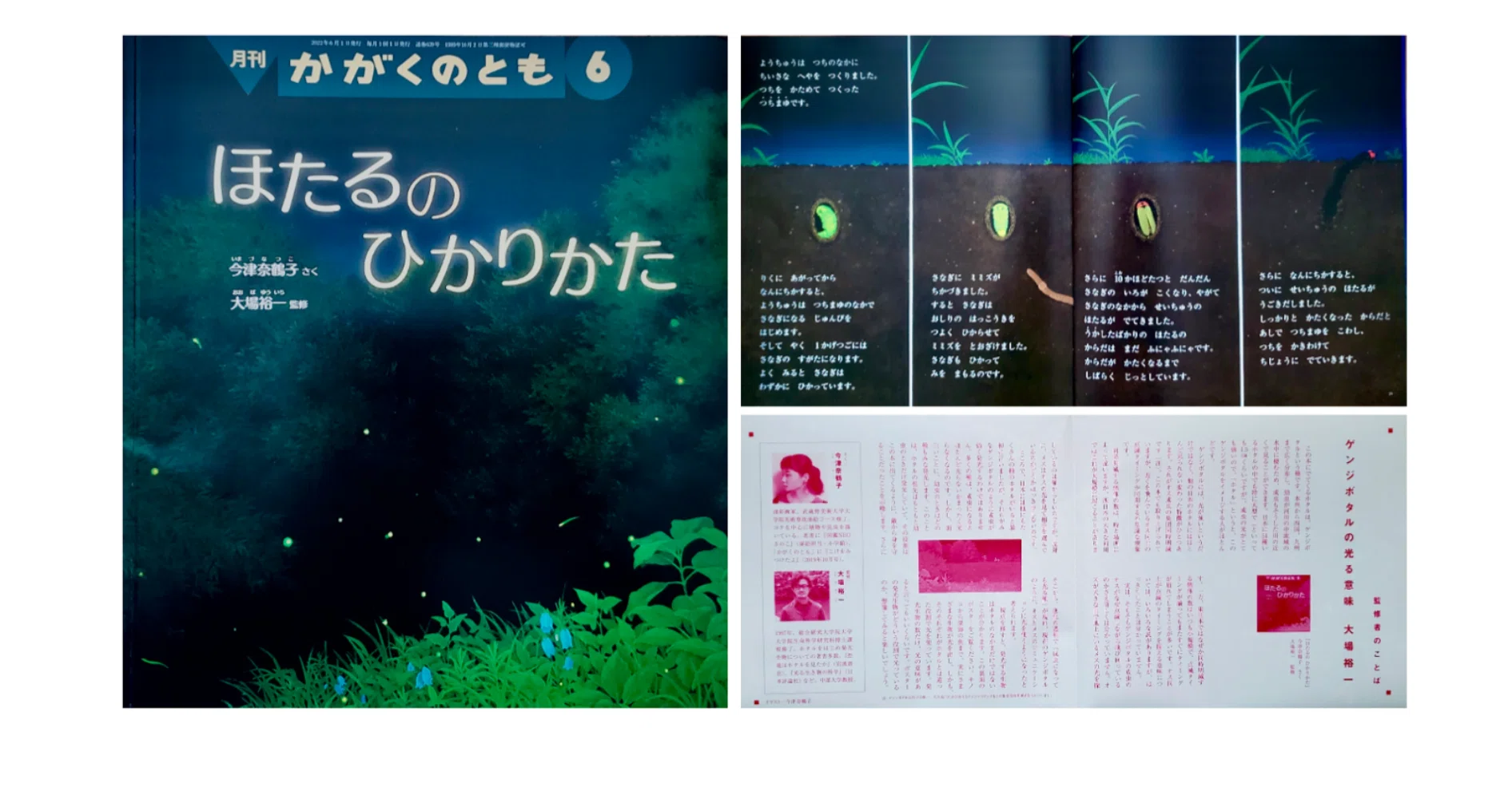 今津 奈鶴子・さく／大場 裕一・監修 『ほたるの ひかりかた』｜KAZE