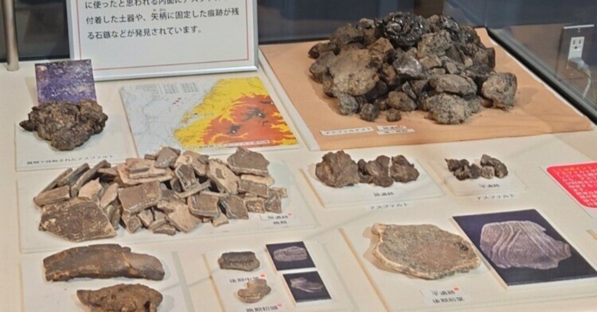 朝日遺跡　縄文式土器化石　3点 朝日遺跡縄文式土器化石3点