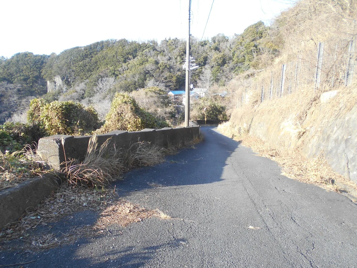 画像7