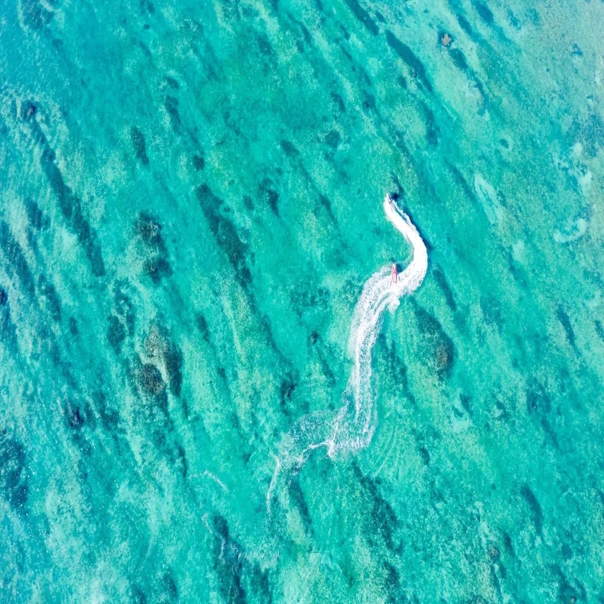 写真家の立場でみる「多様性」について（あるいは、懐かしき「白と金 