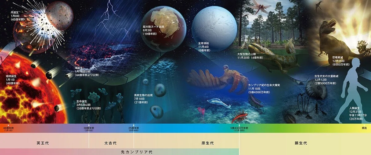 画像4