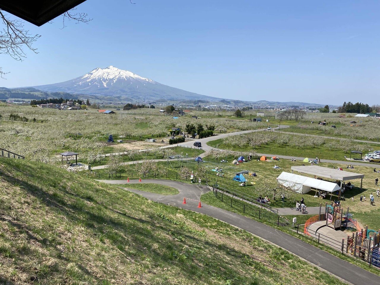 りんご公園 弘前りんご花まつり22 05 05 J M じゃむ Note