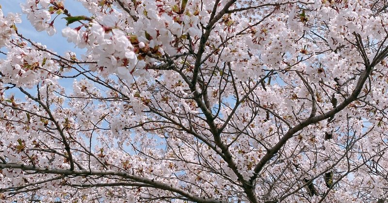 4月の振り返りと5月のテーマ