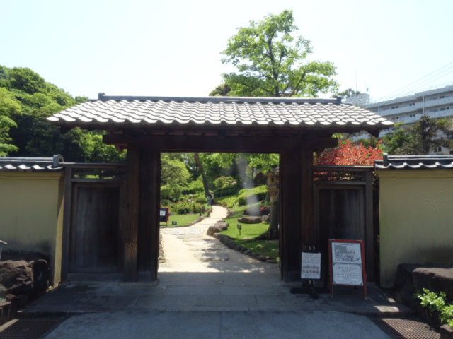 画像8