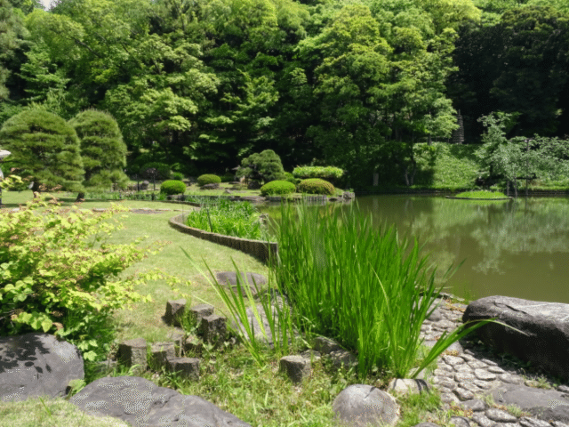 画像10