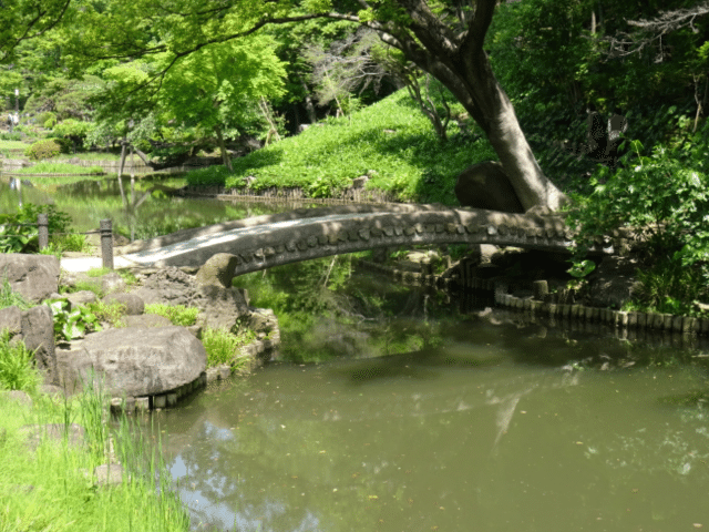 画像24