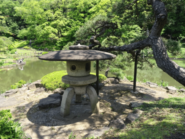 画像25