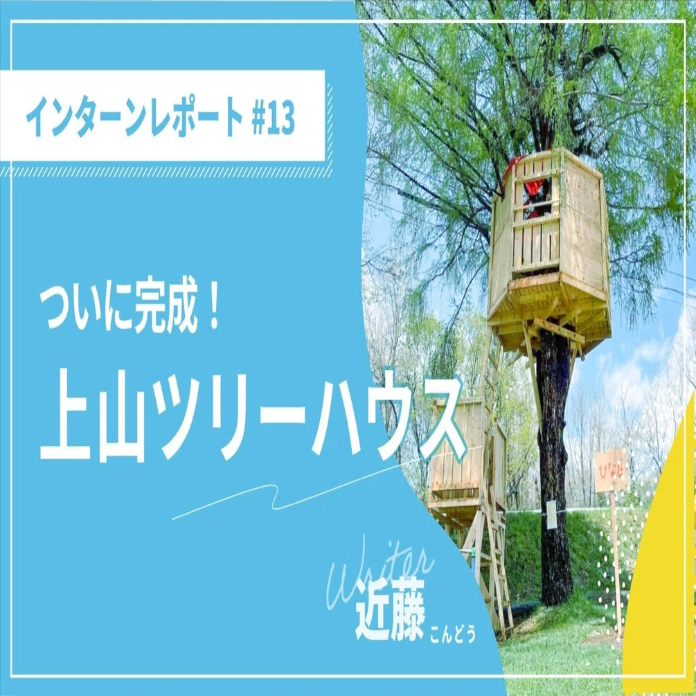 インターンレポ#13】ついに完成！上山ツリーハウスをご紹介🌲｜株式