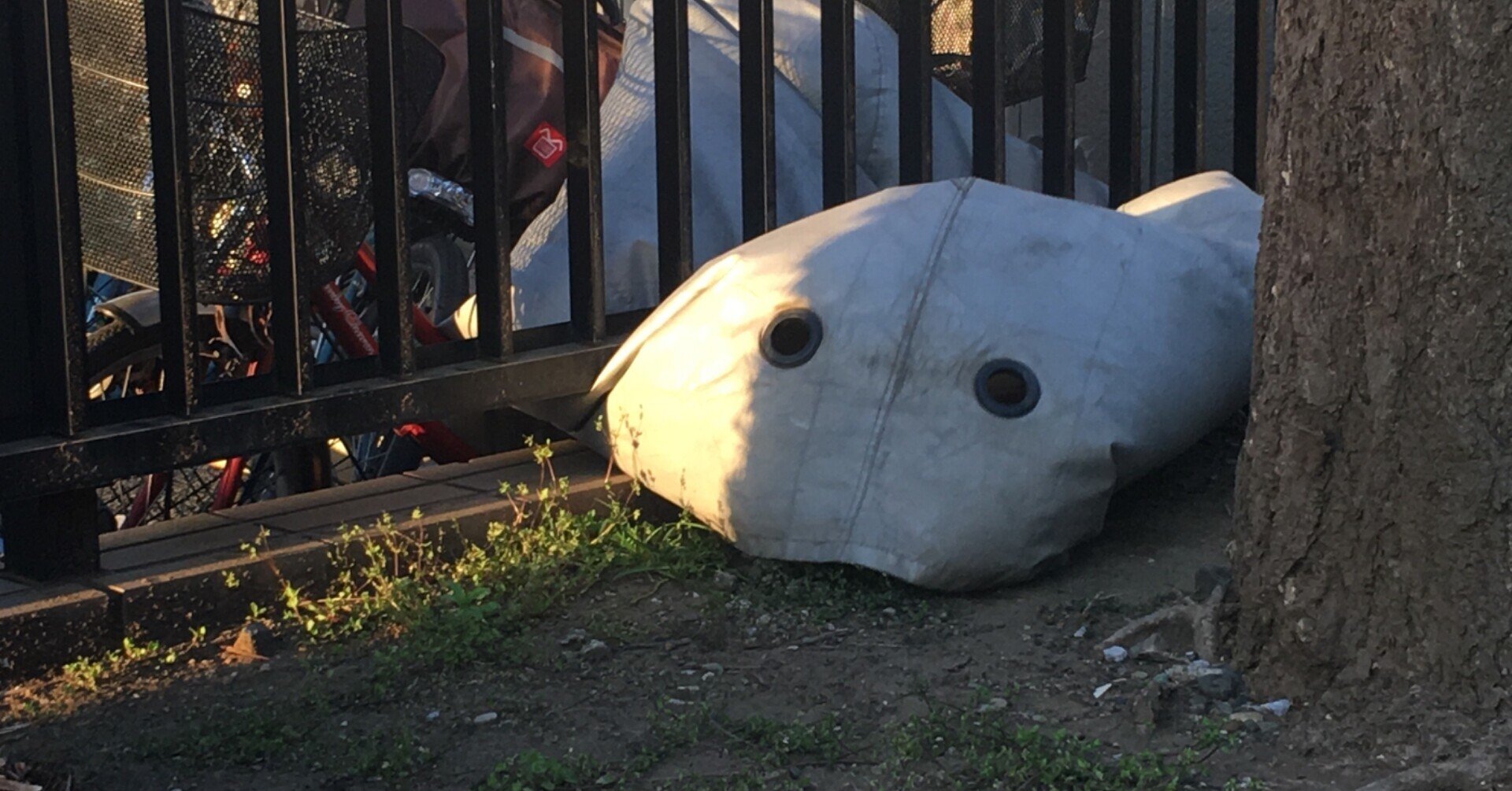 未確認生物 Uma 緒 真坂 Itoguchi Masaka Note 未確認生物 Uma 緒 真坂 Itoguchi Masaka Note