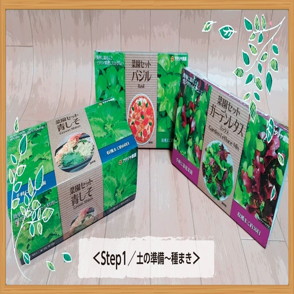 家庭菜園セット、ご予約承ります。 喜びも愛情もひとしお。手軽にはじめられる「栽培セット」でハーブや