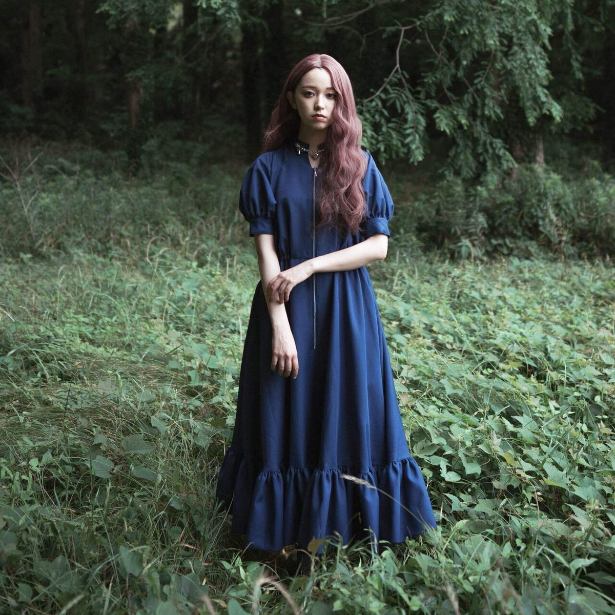 Re:poris総図鑑｜Re:poris = fukuya 