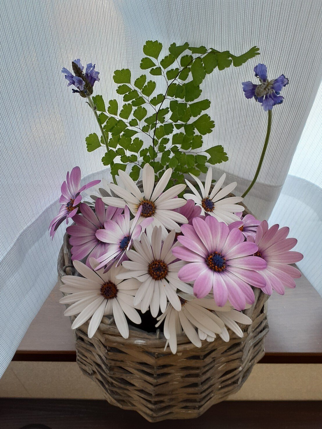 うつ抜けlesson67 不思議なことに うつになると嗜好が変わります 甘いもの好きではなかった私が やたらとチョコレートとかアイスクリームとか欲しくてたまらなくなったりしました それも症状の一つ 仁矢田 美弥 別名 三咲薫 仕事用 Note