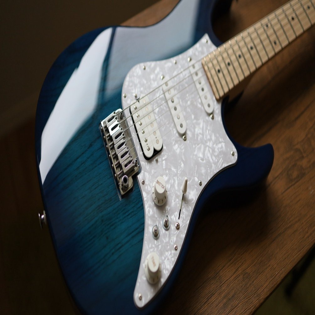 機材レビュー]FGN(Fujigen) Expert OS(EOS)｜Croquetteギター機材研究