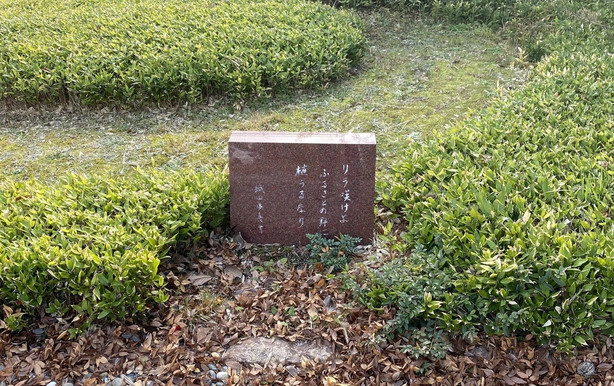 画像10