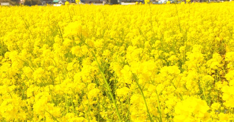 古いカーネルの削除 の新着タグ記事一覧 Note つくる つながる とどける