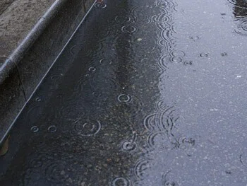 ぴちぴち、ちゃぷちゃぷ、秋の長雨は、優しいリズムで音楽会♪の様だし。