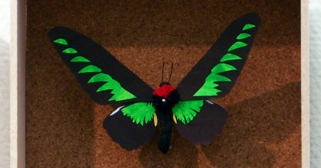 ペーパーモザイクバタフライ｜murayama noriko｜note