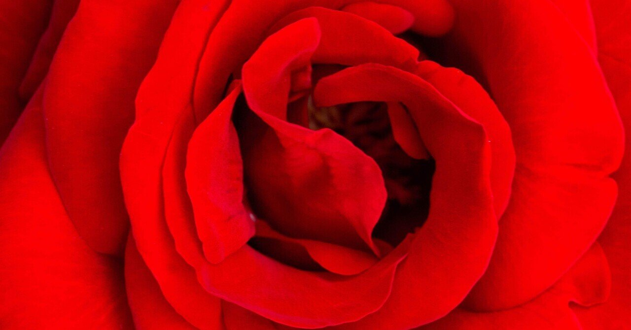 大塚薔薇ロード(5/6 その1)｜SACHIKO_S