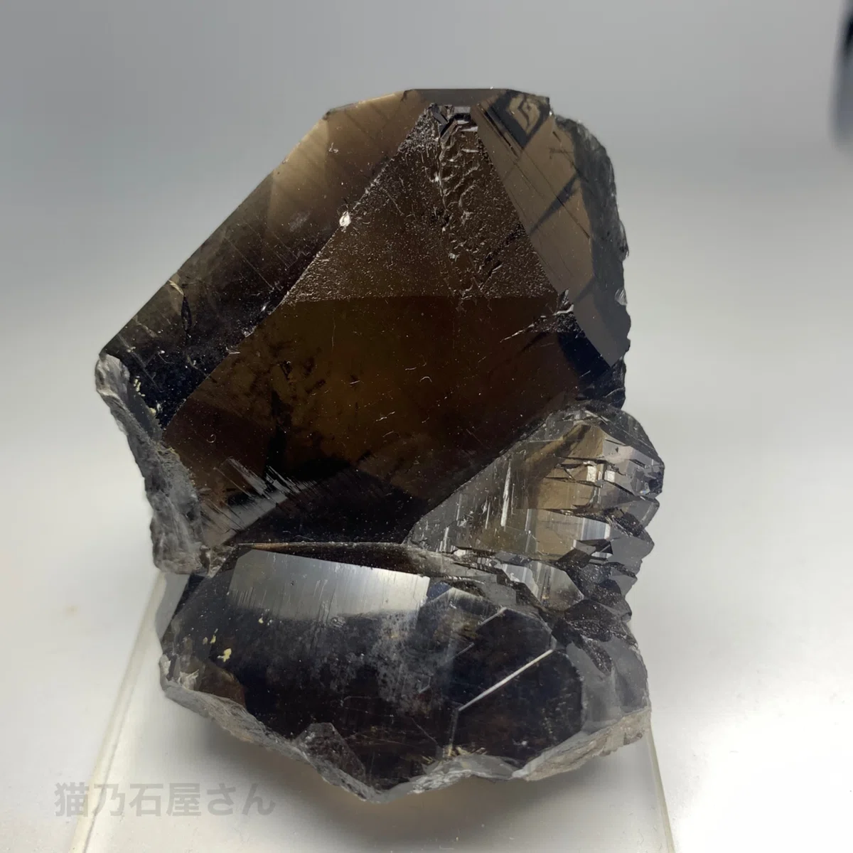 【透明度抜群】Gwindel グインデルクォーツ 51×43×35mm Gwindel グインデルクォーツ｜猫乃石屋さん