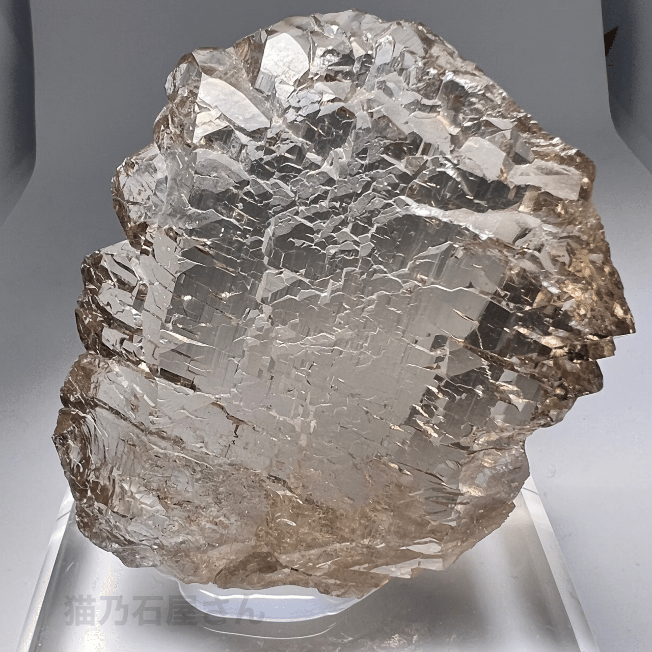 Gwindel グインデルクォーツ｜猫乃石屋さん