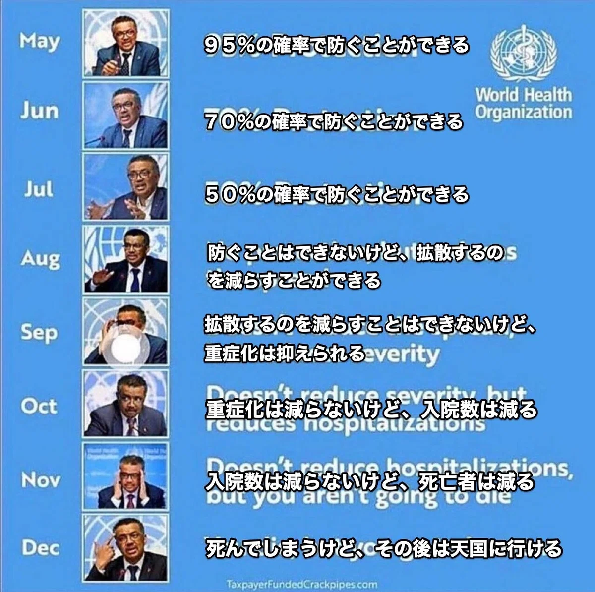 画像13