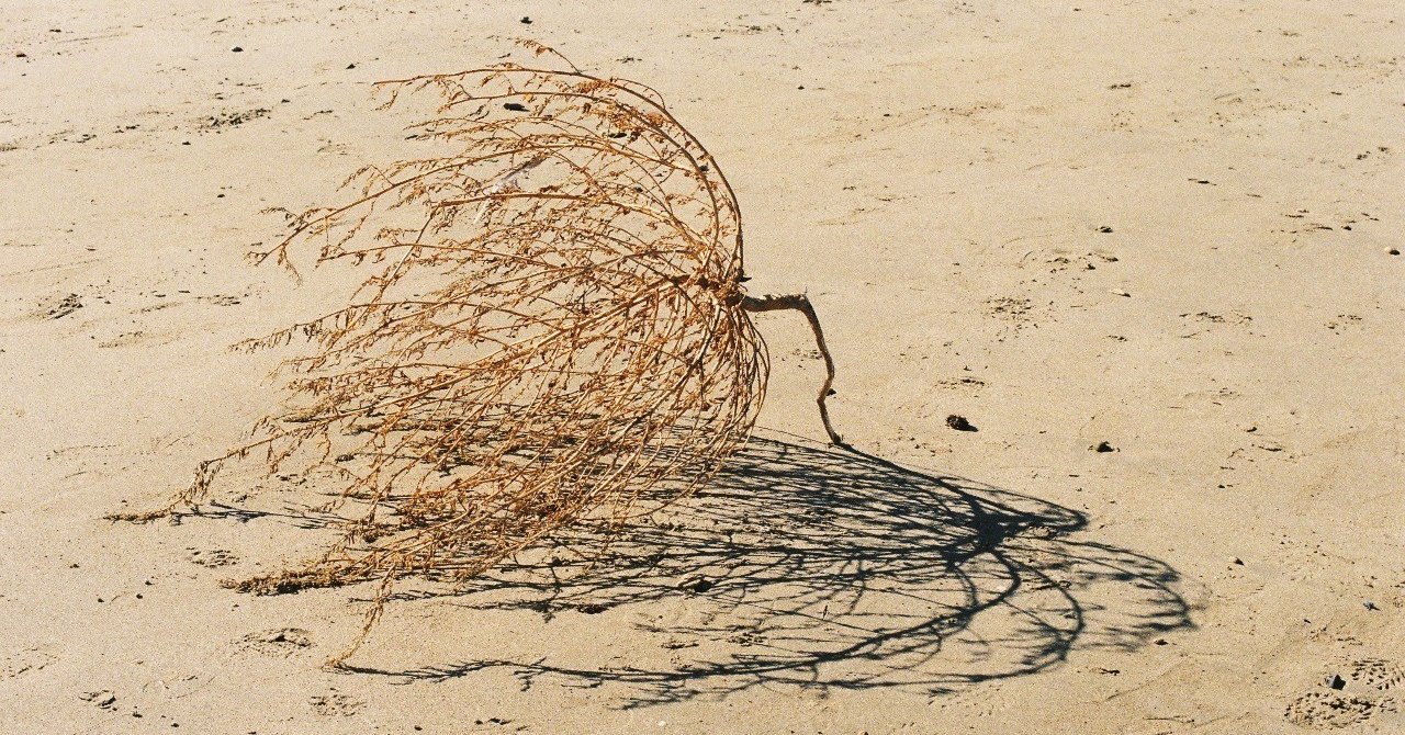 イギリス人の患者 マイケル オンダーチェ 屋根裏 Note イギリス人の患者 マイケル オンダーチェ 屋根裏 Note