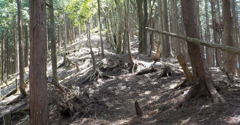 奈良大峰山「千日回峰行」の道を歩く