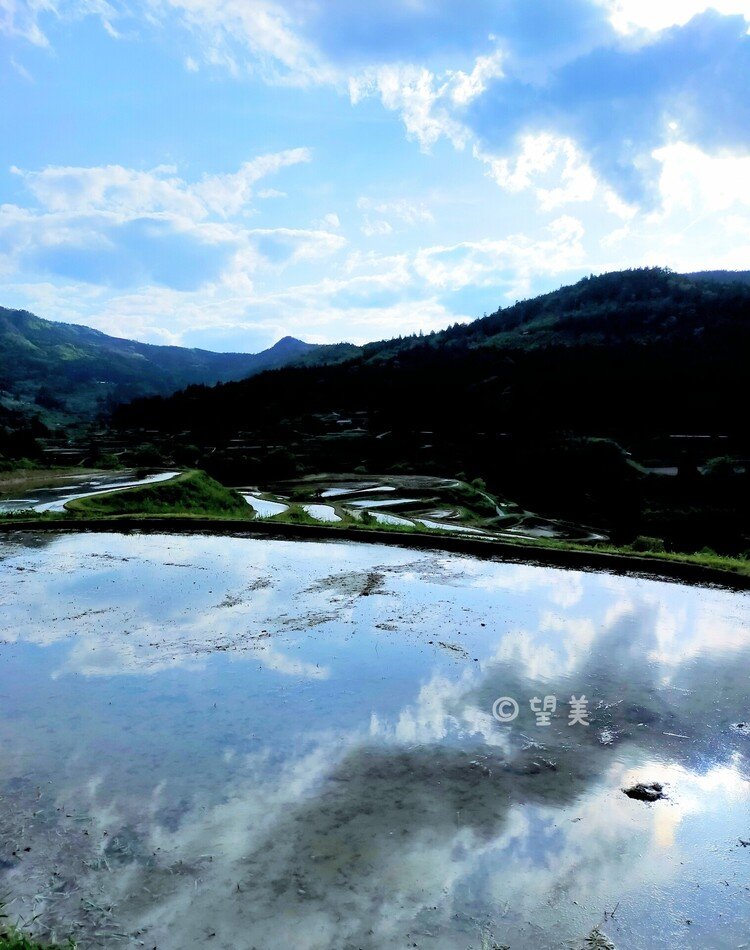 鏡棚田の光と色は秒で変わるから