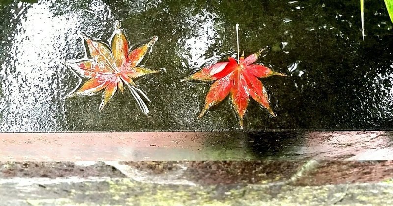 雨降りの上野公園秋散歩