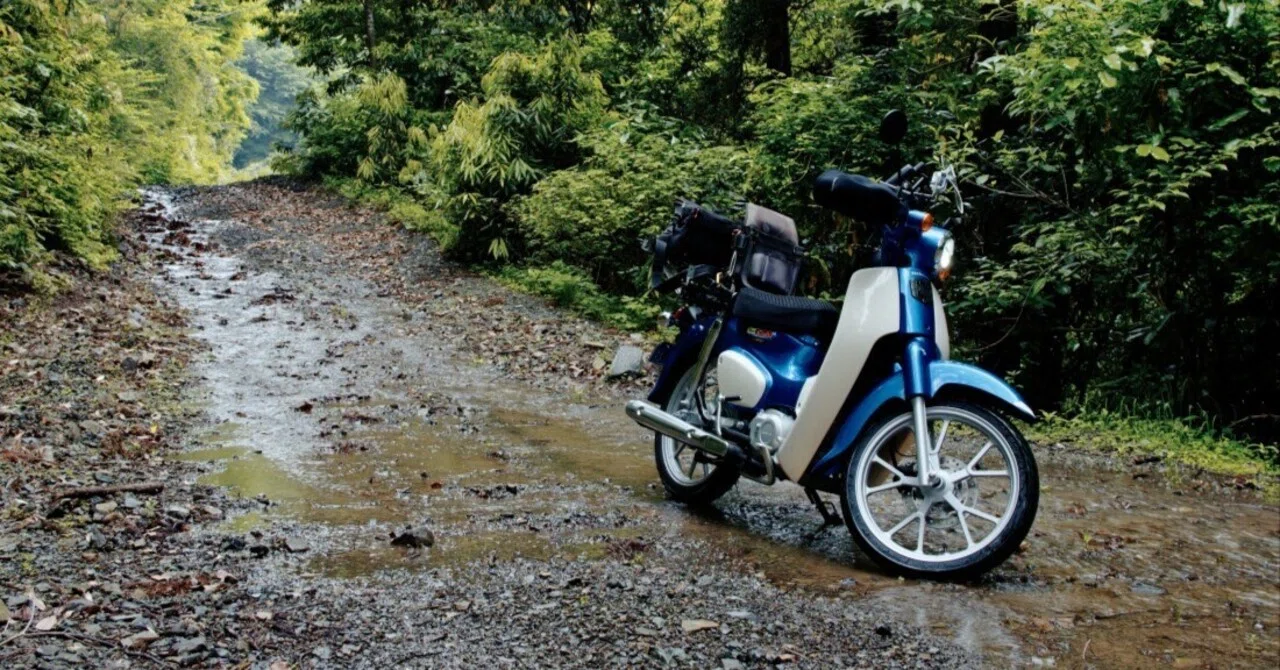 Honda SuperCub110 JA59 2022｜しんはく(sinhaku)