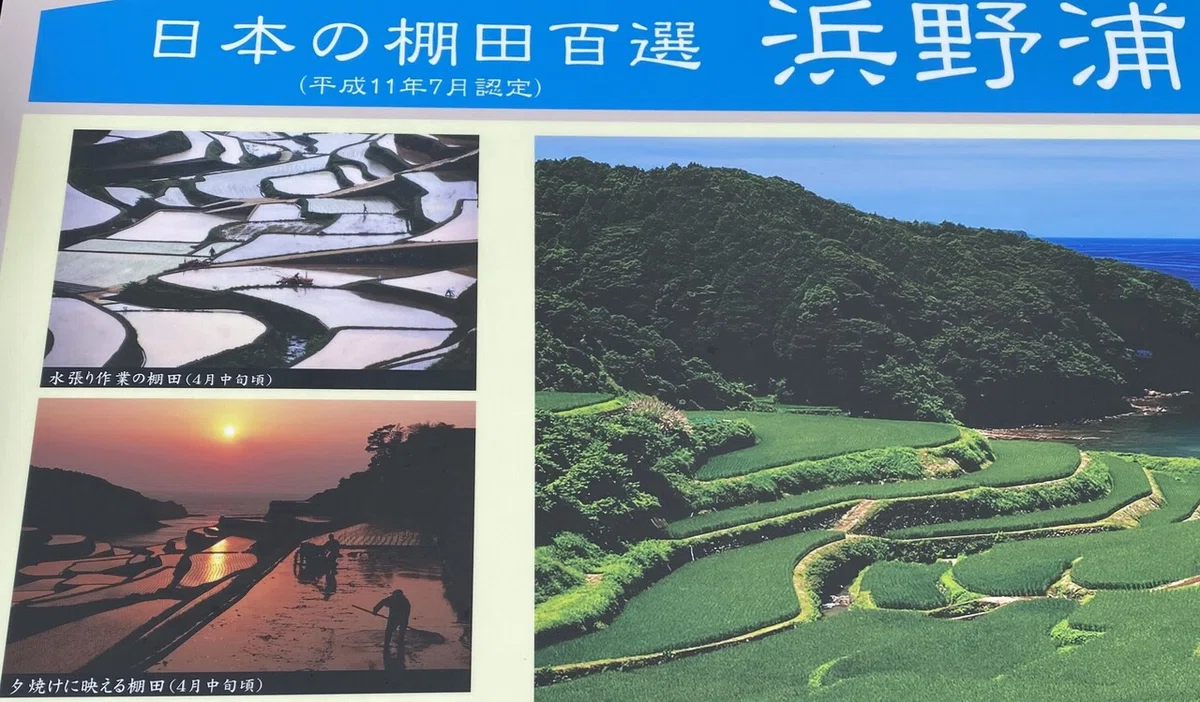 画像15