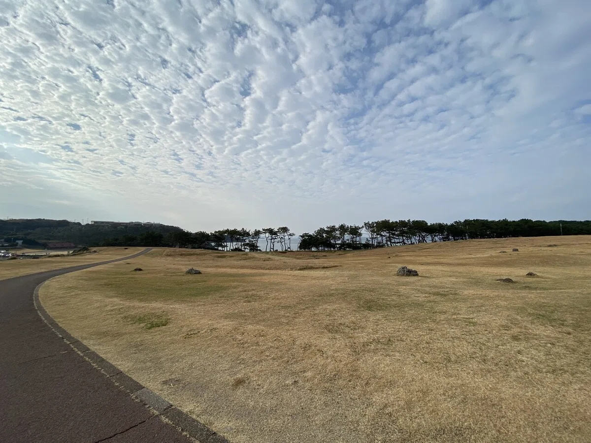 画像23