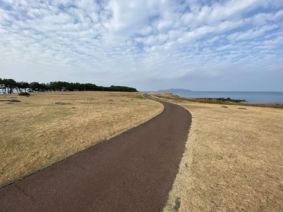画像24