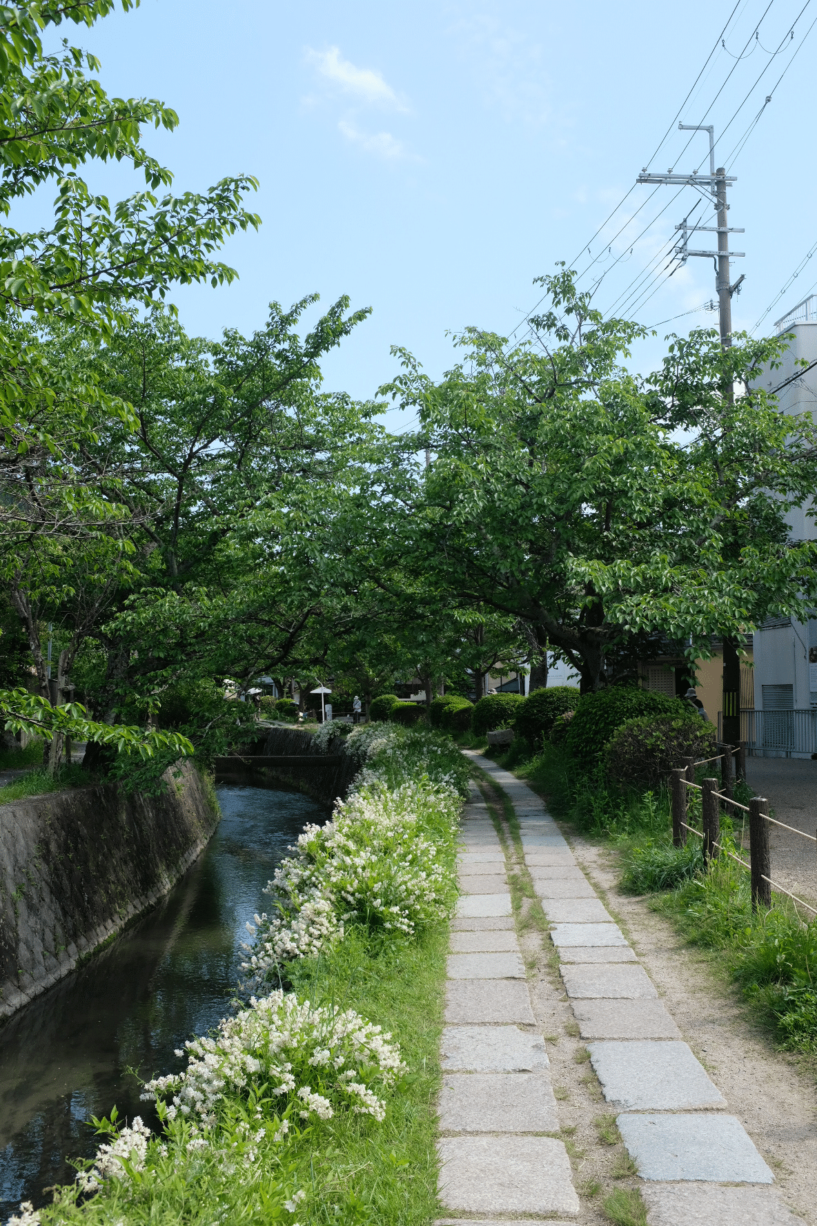 京都・奈良・滋賀で味わう日常と非日常 〜旅でみつけた幸せ18個 京都・奈良・滋賀で味わう日常と非日常 〜旅でみつけた幸せ18個