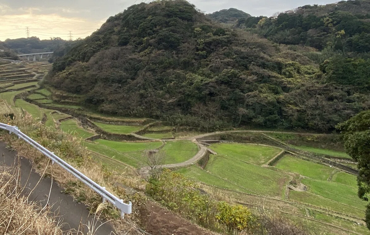 画像27