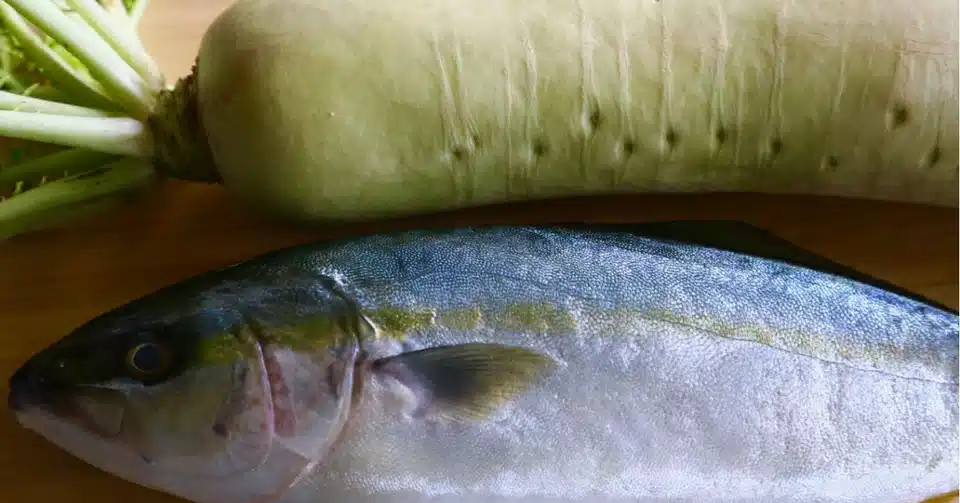 魚をさばくって 楽しい美味しい嬉しい 九鬼なつみ Note