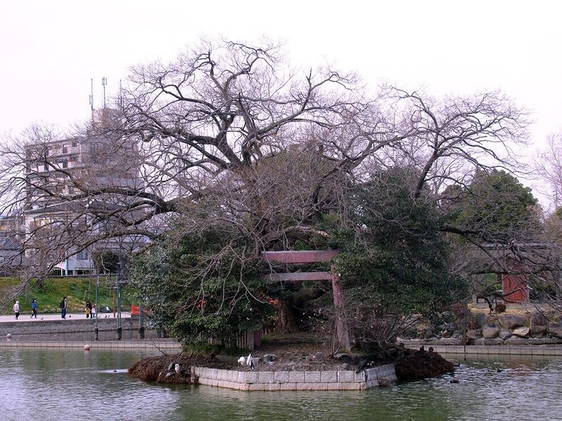 3丸池神社