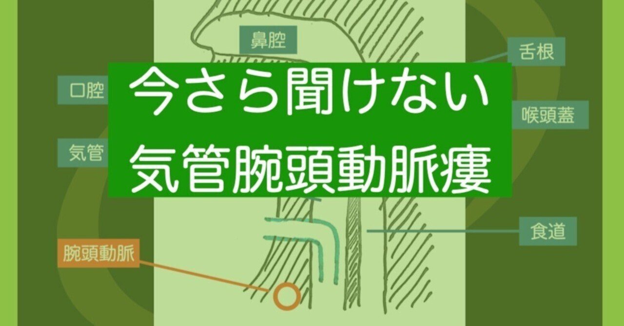 医師は大動脈腸瘻をどのように修復するのでしょうか?