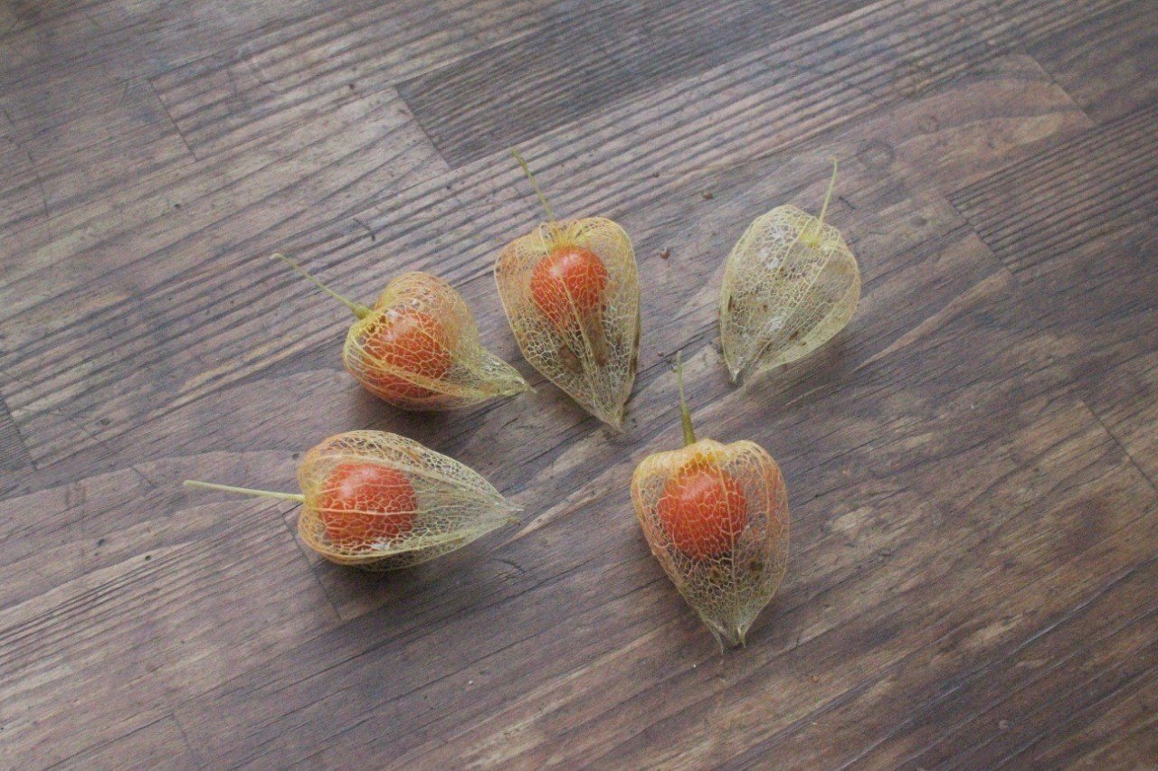 透かしほおずき 作り方 森魔女ゆきよ Note