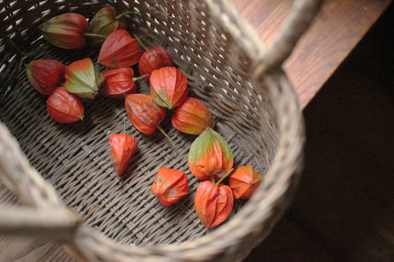 透かしほおずき 作り方 森魔女ゆきよ Note