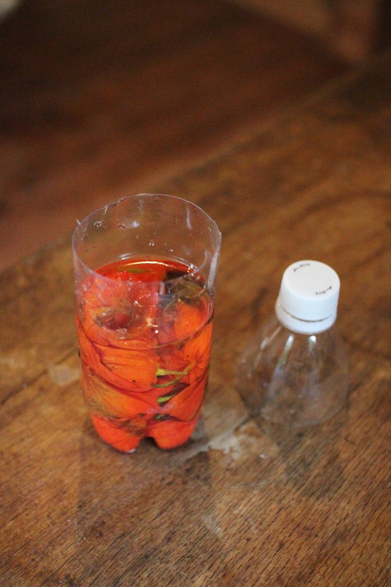 透かしほおずき 作り方 森魔女ゆきよ Note