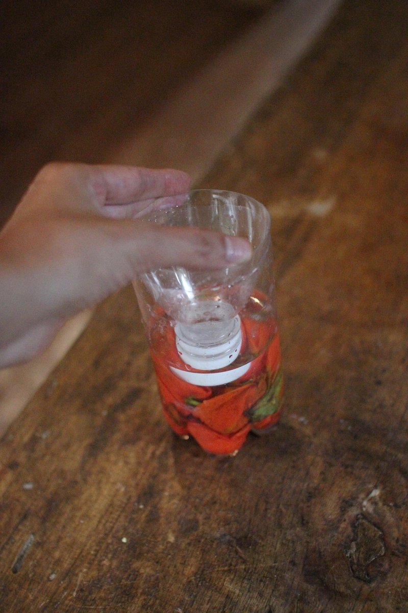 透かしほおずき 作り方 森魔女ゆきよ Note