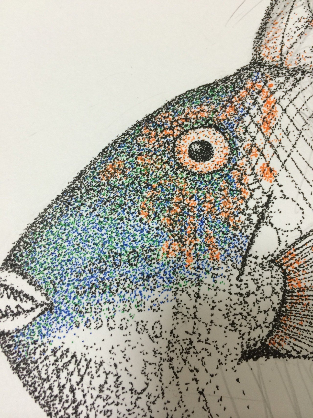 カラー    点描画 色付き点描画｜竜生九子博物館