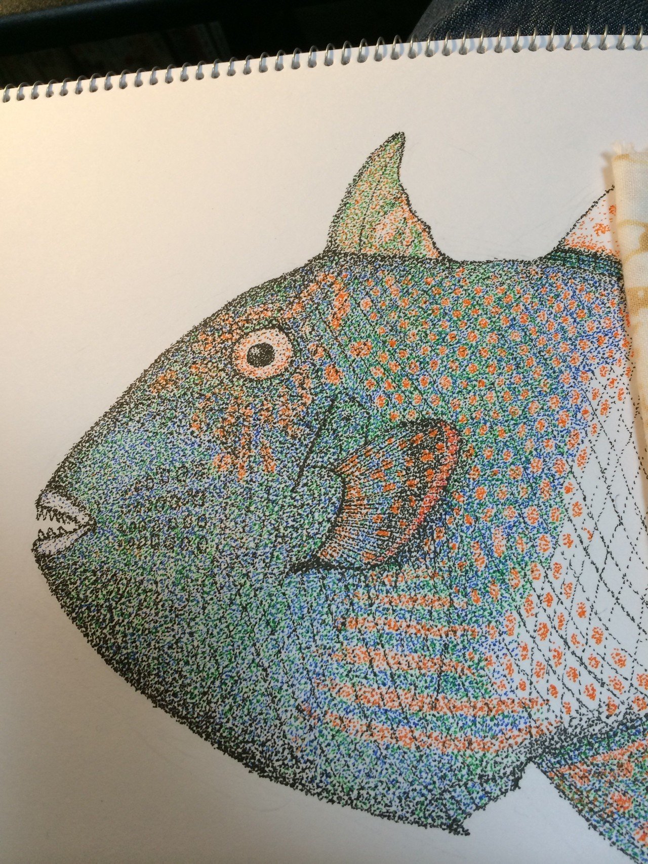 カラー    点描画 71MmzxvwaTL.jpg
