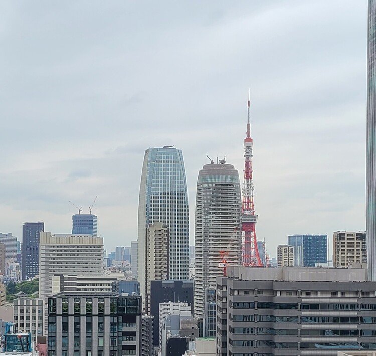 #20220506 #今日の東京タワー GW谷間の花と東京タワー🗼さん #東京タワー #tokyotower #tokyo #japan