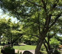 俳句 22 05 祐希 Note